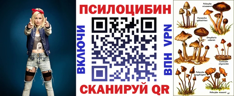 Галлюциногенные грибы MAGIC MUSHROOMS  Купить где  Тосно 